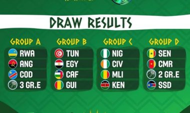 Tirage au sort C Masculin 2021 : Les ÉLÉPHANTS dans la poule de la mort?