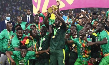 Classement FIFA : le Sénégal monte, l’Algérie chute !