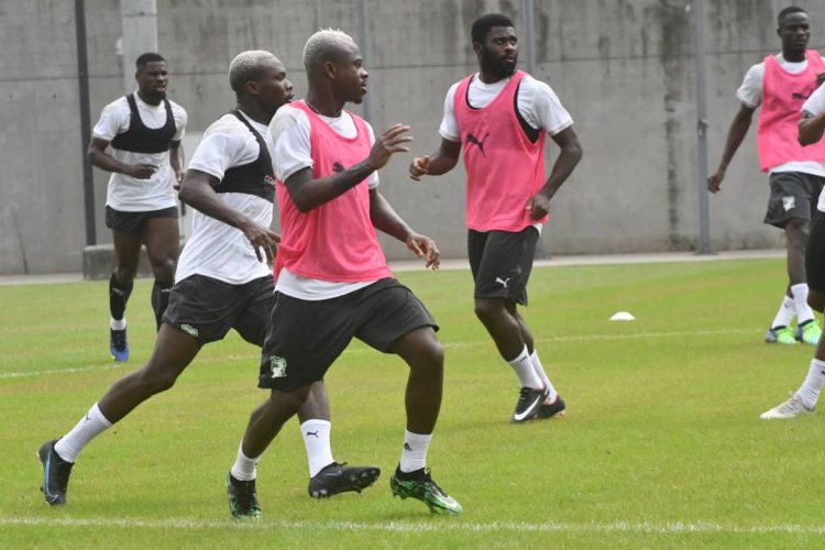 Côte d’Ivoire FIF : le nom du nouveau sélectionneur des Eléphants connu vendredi