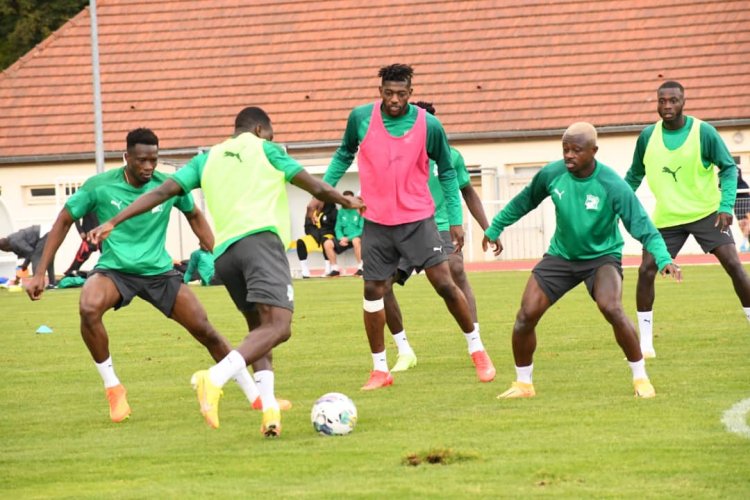 Les Eléphants gardent le Cap pour le match contre la Guinée!